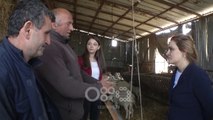 RTV Ora - Kryemadhi fton fermerët ta shohin LSI si alternativë të zgjidhjes së problemeve