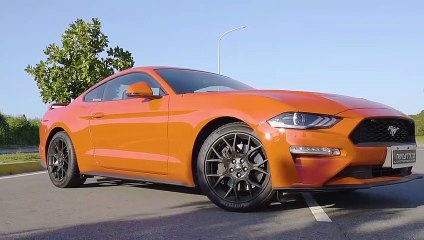 Скачать видео: VÍDEO: Así suena este Ford Mustang EcoBoost con salidas de escape modificadas