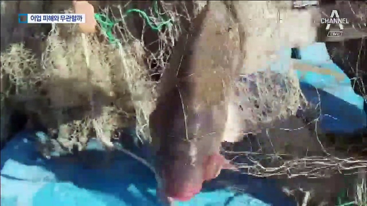 화장품 원료 화학물질 검출…수상한 서울시 공문
