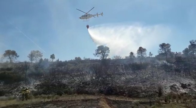 Bomberos de Zaragoza trabajan en extinción de un incendio forestal