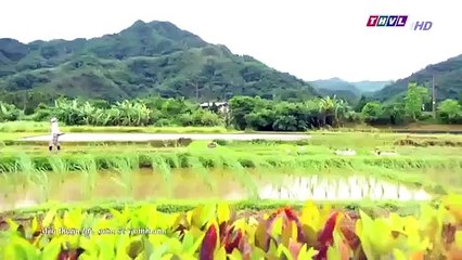 Đại Thời Đại Tập 55 - đại thời đại tập 56 - Phim Đài Loan - THVL1 Lồng Tiếng - Phim Dai Thoi Dai Tap 55