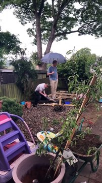 Bricolage : le fils scie et le père tient le parapluie !