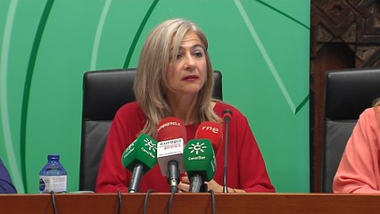 Tasado en 468.230 euros el tesoro de Tomares (Sevilla)