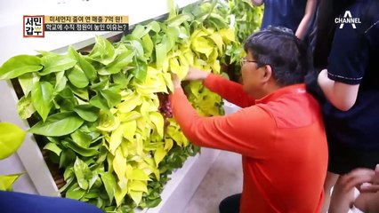 미세먼지 없는 상쾌함! 갑부의 수직 정원이 학교에 놓이는데...♥