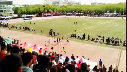 Stray dog nearly wins 100m race after joining in accidentally