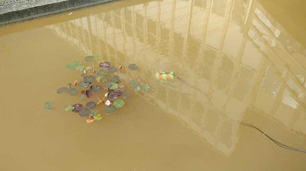 Un sous marin à l'eau à la polytech de Mons.Video Eric Ghislain