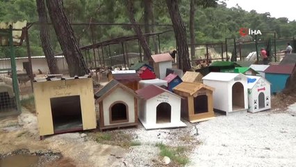 Öğrenciler 'Sevimli Dostlara' Kulübe Yaptı