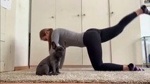 Quand un bébé bulldog encourage sa maîtresse au sport. Trop chou !