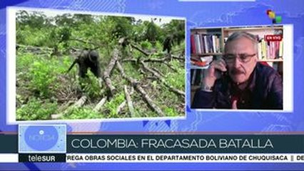 Caycedo:Hay más inversión en erradicación forzada de cultivos ilícitos