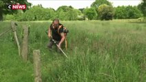 Ille-et-Vilaine : un maire interdit les pesticides près des habitations