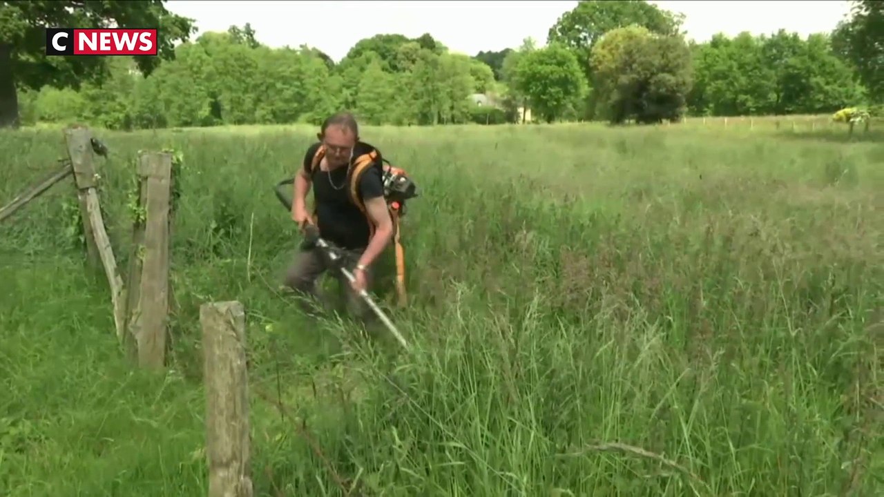 Ille-et-Vilaine : un maire interdit les pesticides près des habitations