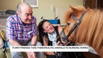 Miniature Ponies & A Hedgehog At The Magdalen Park Nursing Home!