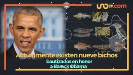 Internacional | Estos bichos tienen nombres de políticos