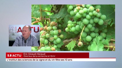 SO invité - L'institut des sciences de la vigne et du vin fête ses 10 ans
