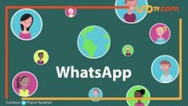 Tecnología y Ciencia | Estas son las nuevas funciones que lanzará WhatsApp este año