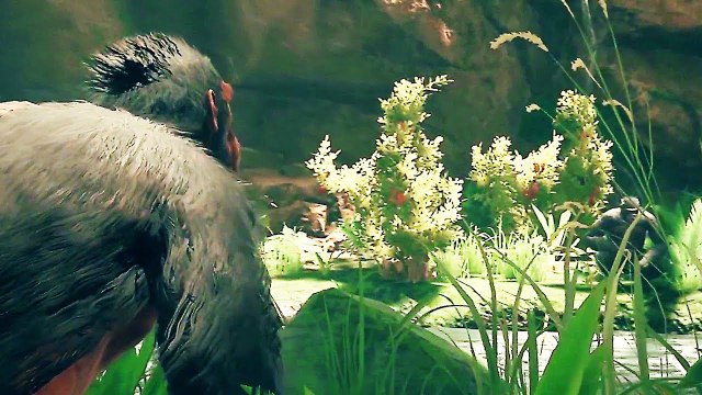 ANCESTORS THE HUMANKIND ODYSSEY Bande Annonce de Gameplay