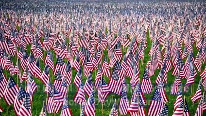 Meat Recall Issued in the US Before Memorial Day Weekend