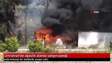 Ümraniye'de ağaçlık alanda yangın paniği