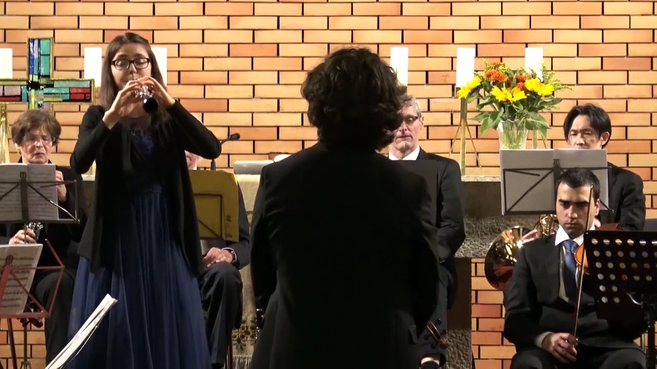 FRÜHJAHRSKONZERT Camerata Musica Wien