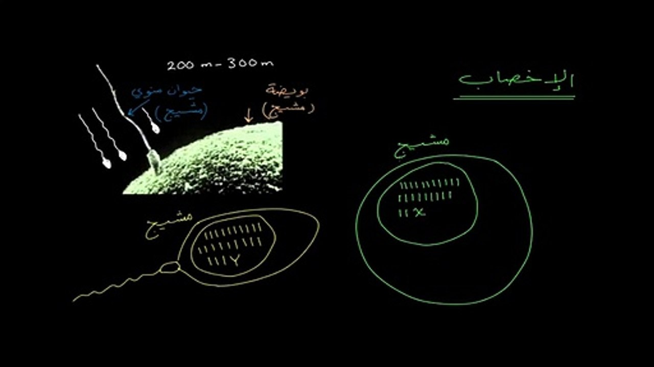 عملية الاخصاب والمصطلحات الخاصة بها