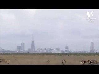 Primera Emisión -  Estados Unidos emite licencia a Huawei