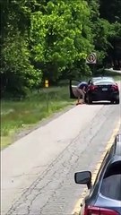 Cet automobiliste a eu une envie très pressante dans les bouchons...