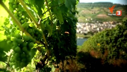 ท่องโลกกว้าง : โมแซลล์ ตอน สามประเทศหนึ่งแม่น้ำ