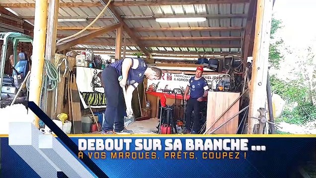 DNA - Séances d'entraînement de Loïc Voinson, 20 ans, sélectionné au championnat du monde de bûcheronnage (moins de 25 ans), qui a lieu ce samedi 25 mai 2019 en Suède