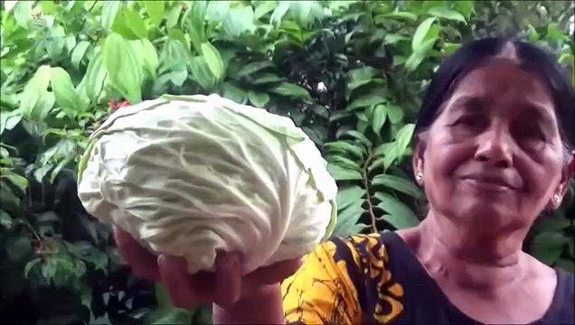 Village Aliments Chou de l'Œuf et Remuez faire Frire Recette de ma Maman