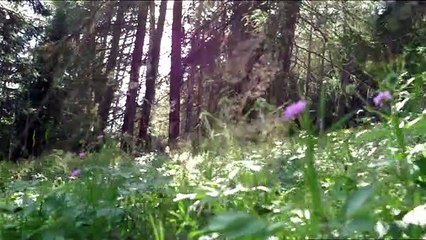 S4 puntata 17 - Parte 1