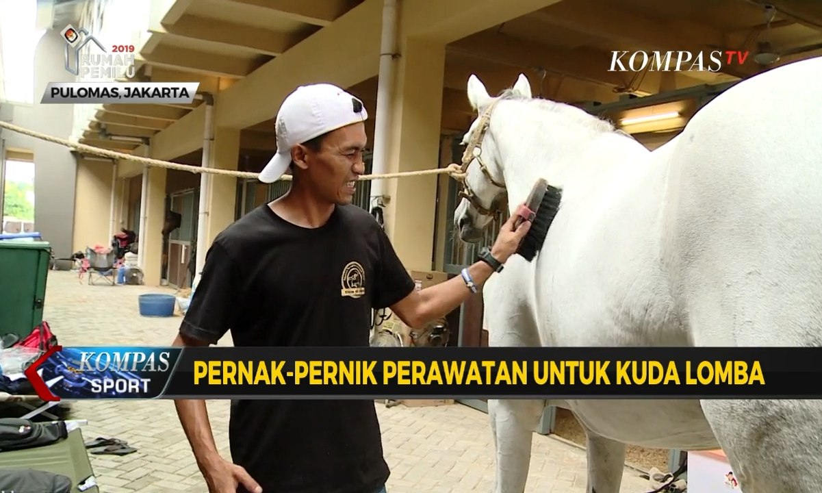 Pernak-pernik Perawatan untuk Kuda Lomba, Harganya Hingga Miliaran