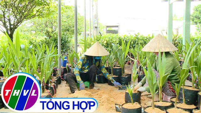 THVL | Nông thôn ngày nay: Xây dựng nông thôn mới ở một làng nghề truyền thống