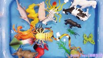 Learn Sea Animals Wild Animals Farm Animals With Toys in Water Pool | Part 2 |  BeBe Toys