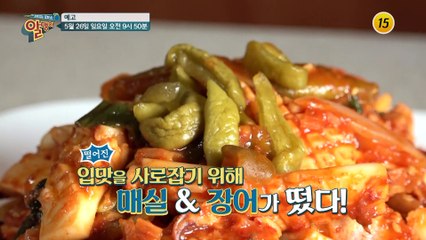 계절 따라♪ 맛 따라♪ 골라 먹는 제철음식_알맹이 23회 예고