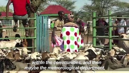 Tradition meets tech as Kenya's herders adapt to climate change