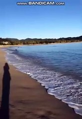 라이브카지노 ㉿ぷ「〃DDa999.CoM〃」ゆ↕ 비보게임카지노