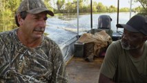 History|231059|1526090819917|Swamp People|Alligators Prey on Frenchy's Cows|S10|E5