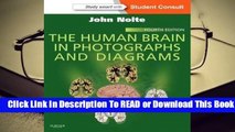 Full E-book The Human Brain in Photographs and Diagrams  For Free