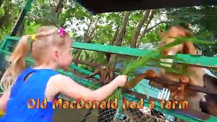 Le vieux MacDonald comptine chanson pour les enfants de Stacy - drôle de virus