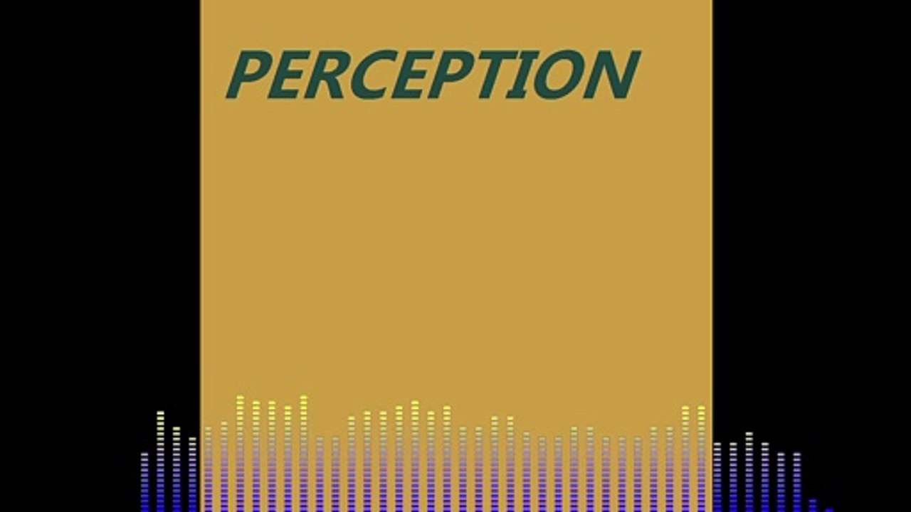 The Devil's Inside - Perception