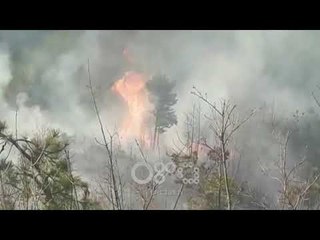 RTV Ora - Mirditë, zjarr në pyjet e Oroshit