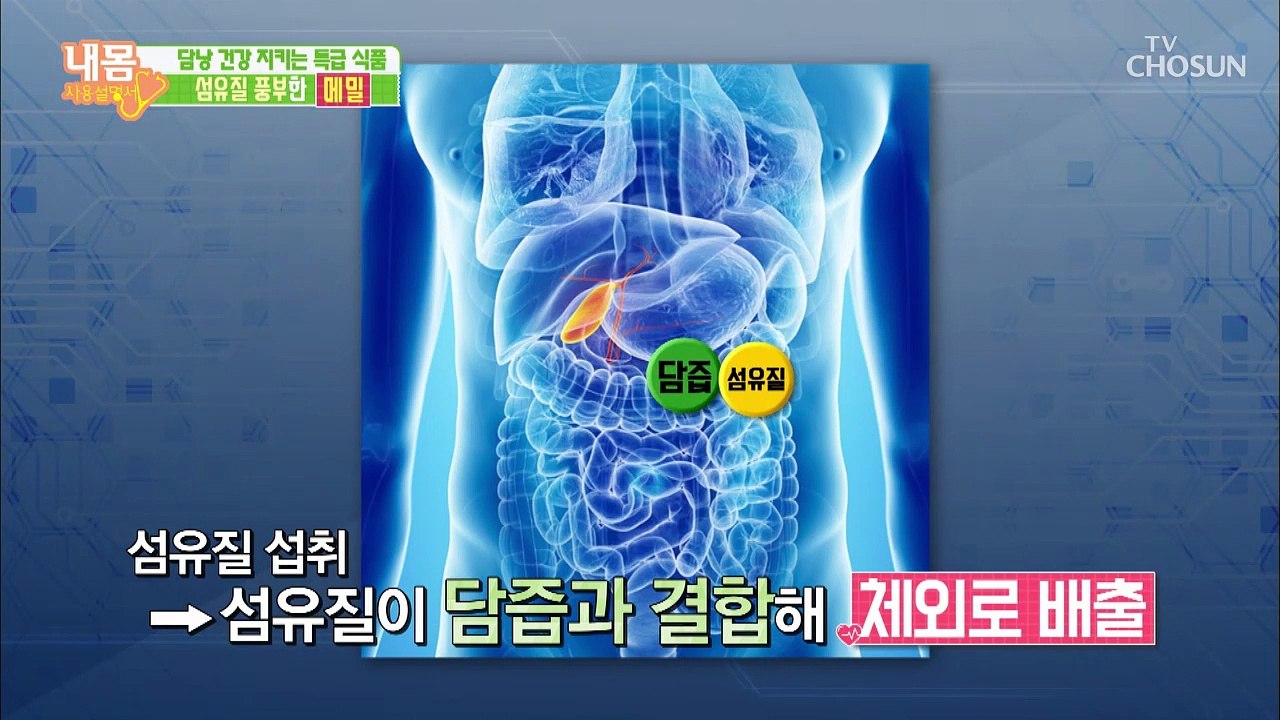 담낭 건강을 지키는 특급 식품! 섬유질이 풍부한 ‘이것’은?