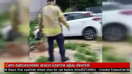 Cami bahçesindeki aracın üzerine ağaç devrildi