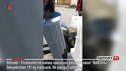 Shkodër/ Sekuestrohen 151 kg marijuanë, arrestohet shkodrani dhe dy malazezë