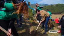 Vullnetarët i bashkohen aksionit të bashkisë për transformimin e zonën e Allgjatës në Vaqarr