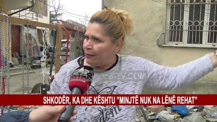 SHKODËR, KA DHE KËSHTU ”MINJTË NUK NA LËNË REHAT”