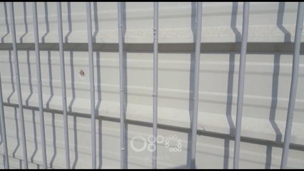 RTV Ora - Sulmi me armë, makina e autorëve me targa false, personat dyshohet të mos jenë nga Fieri