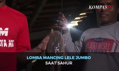 Unik! Lomba Mancing Lele Jumbo Saat Sahur