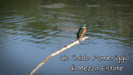 Un caldo pomeriggio di mezza estate