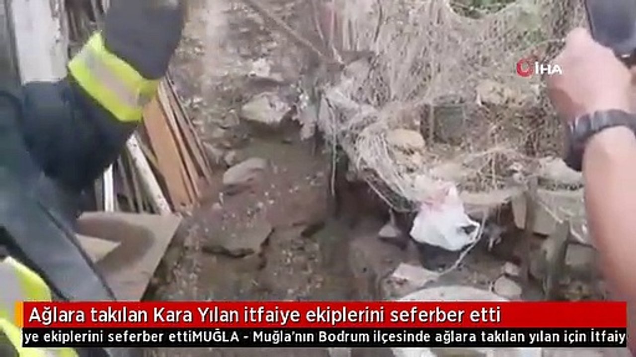 Ağlara takılan Kara Yılan itfaiye ekiplerini seferber etti